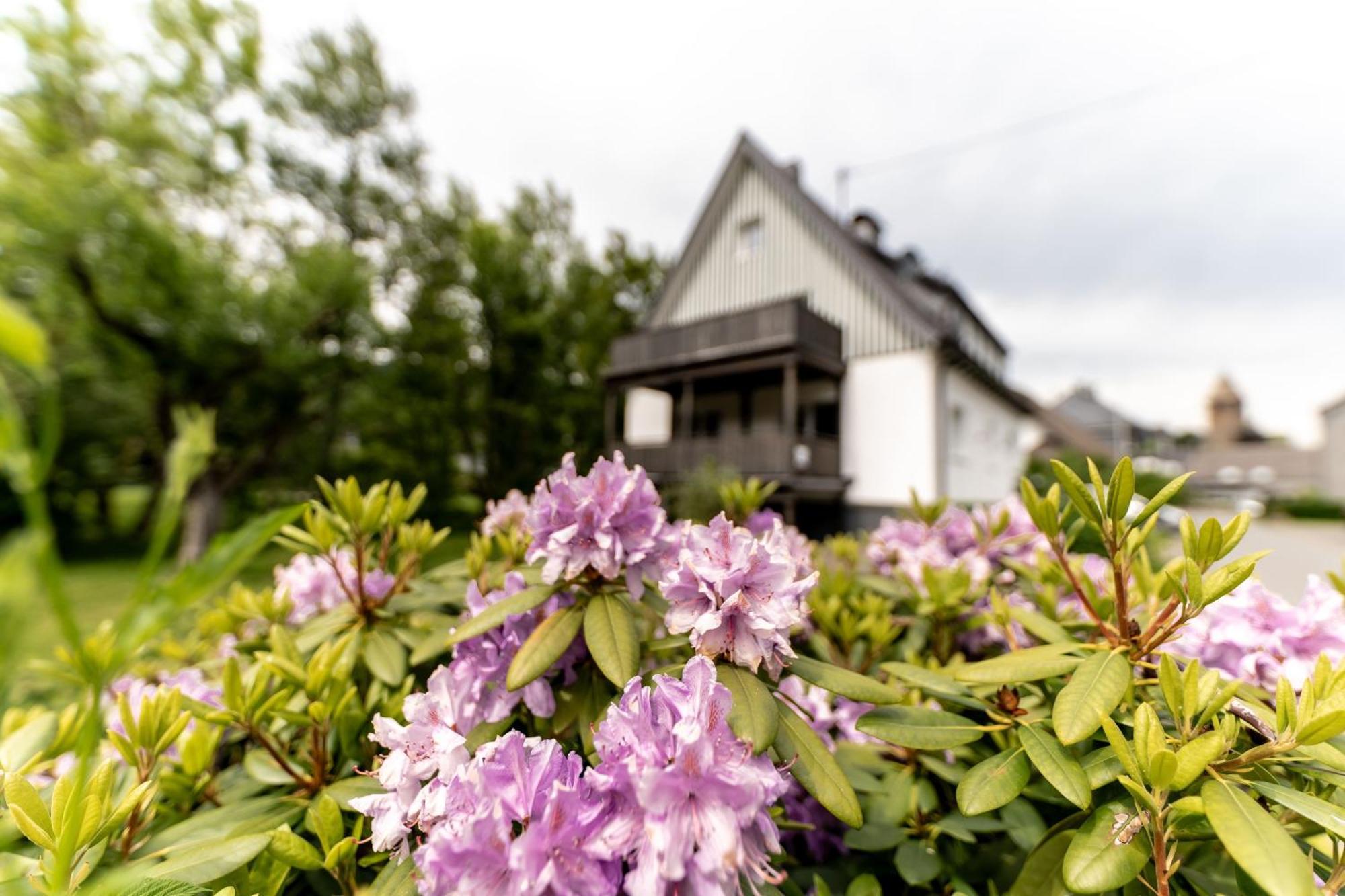Ferienwohnung Haus An Der Lenne Lennestadt Exteriör bild